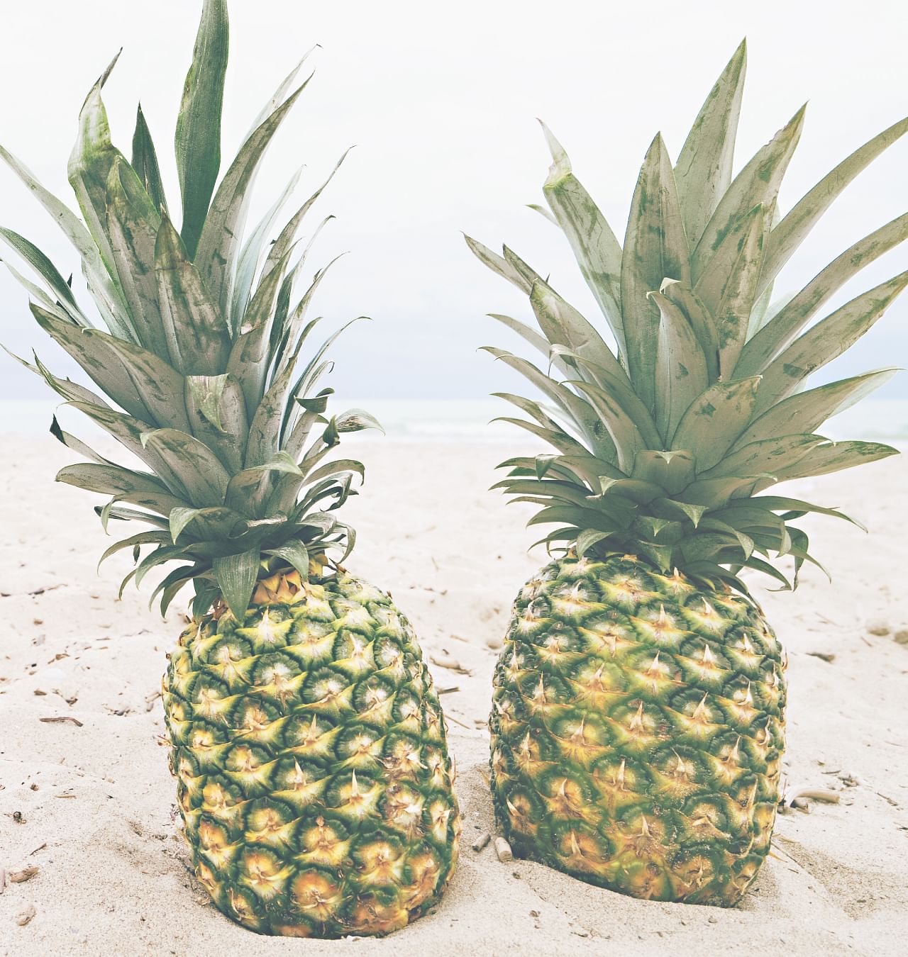 pineapples on beach in sand