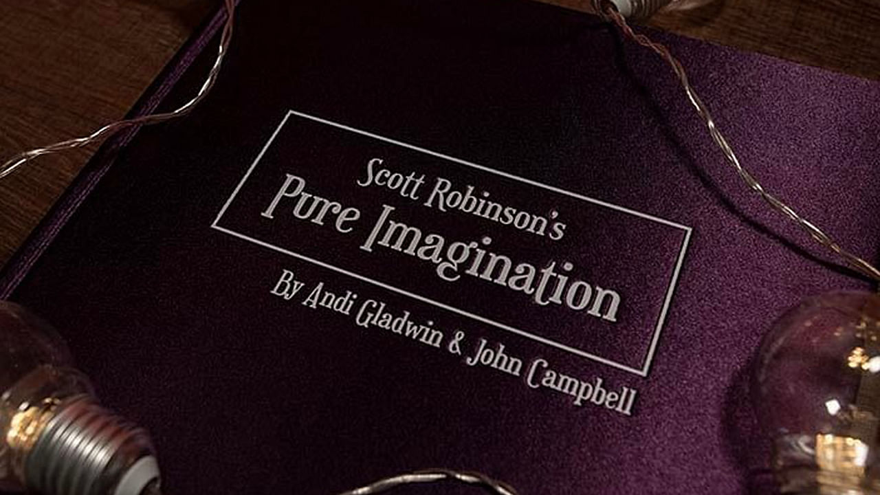 pure imagination book by scott robinson