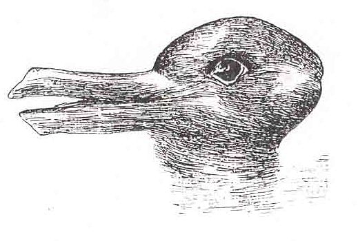 Rabbit Duck Illusion