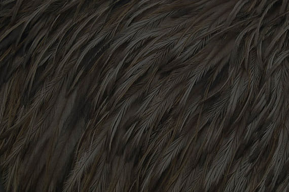 10 Tips for Constructing Original Material