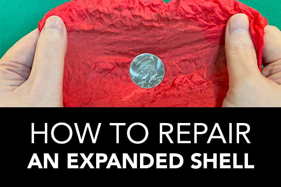 Zen and the Art of Expanded Shell Repair