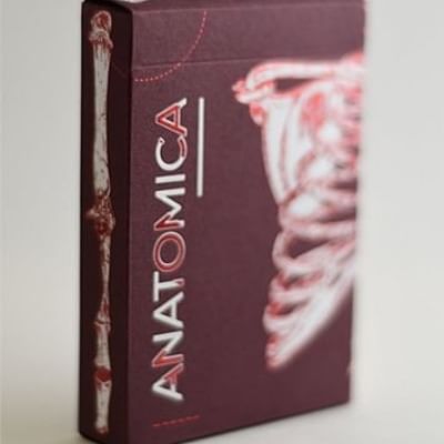 Anatomica Playing Cards