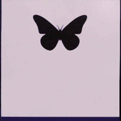 Butterfly Deck (Limited Edition - Signed) Playing Cards
