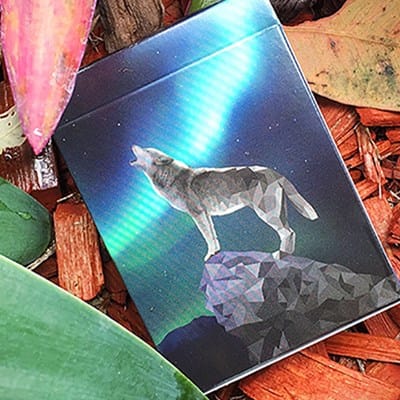 WILD Playing Cards Playing Cards