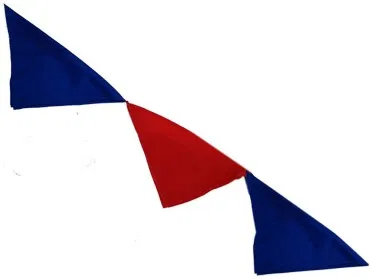 20th Century Silks 12in