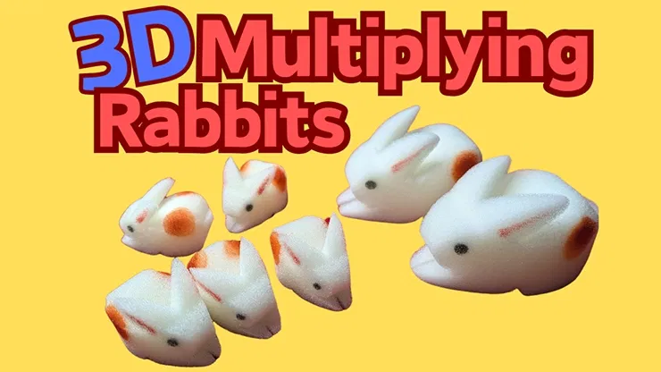 3D Multiplying Rabbits Set