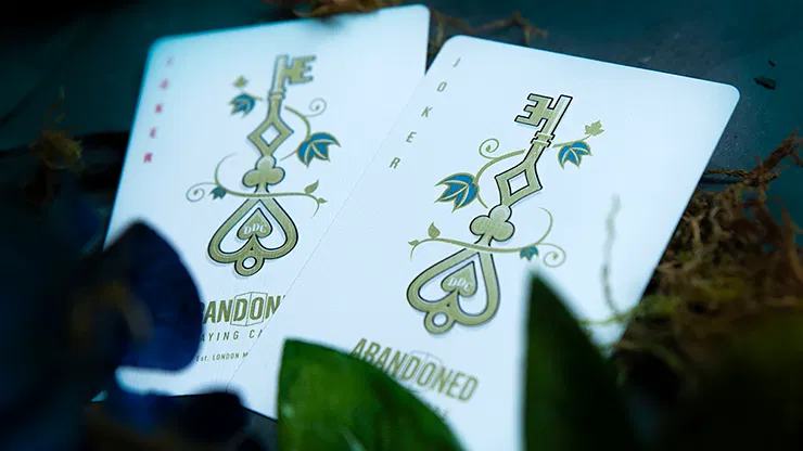 Abandoned Luxury Playing Cards - image 4