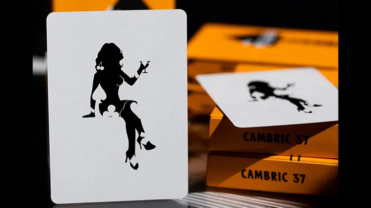 Ace Fulton's Casino V3 Playing Cards - image 5