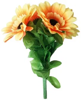 Amazing Split Sunflower