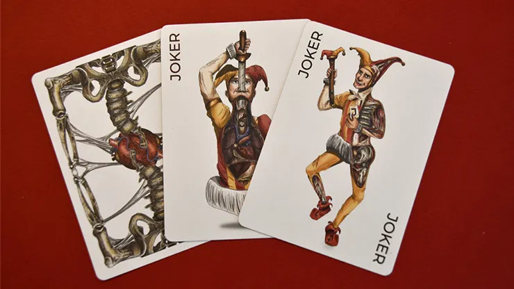 Anatomica Playing Cards - image 2