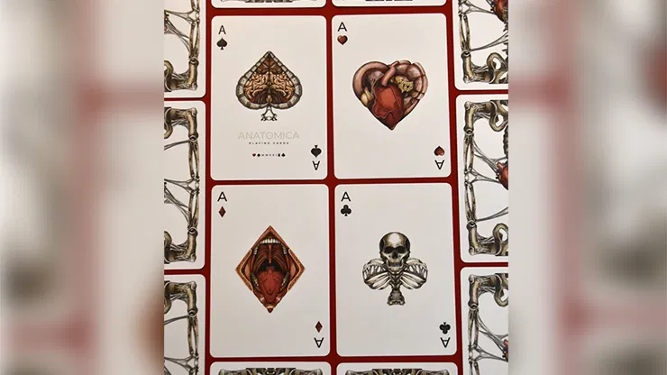 Anatomica Playing Cards - image 3