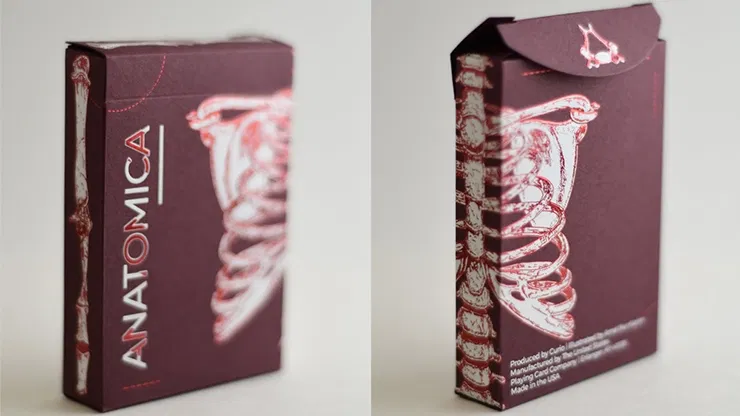 Anatomica Playing Cards - image 1
