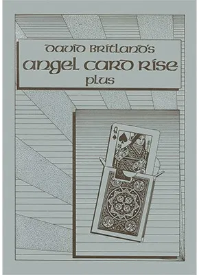 Angel Card Rise Plus