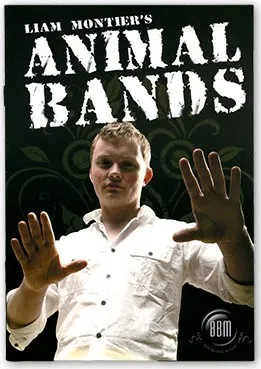 Animal Bands