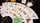 Animal Playing Cards - image 6