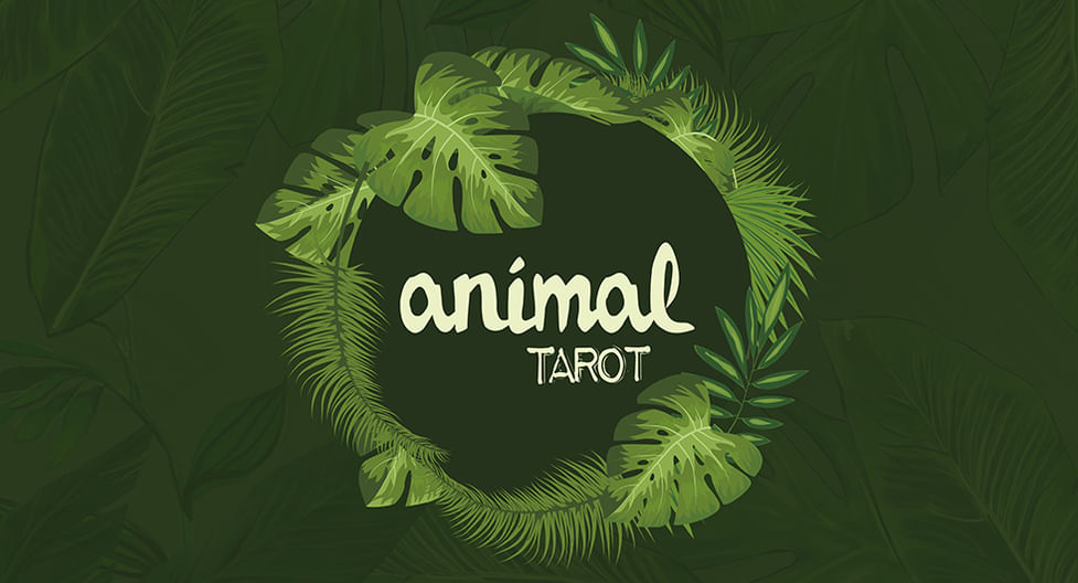 Animal Tarot Vanishing Inc Magic Shop