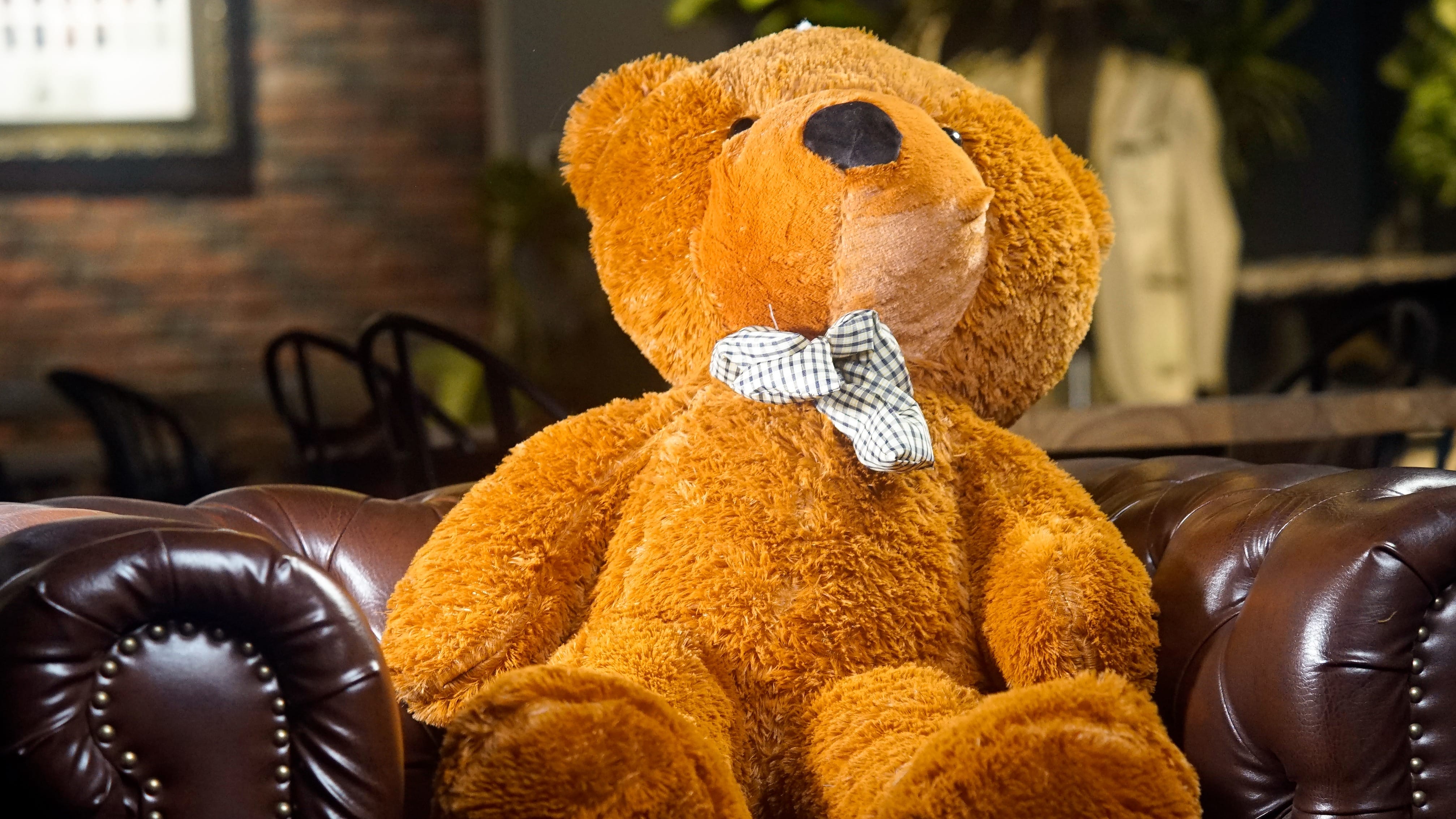 Appearing Teddy Bear - Vanishing Inc. Magic shop