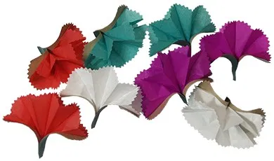 Bare Hand Spring Flower - image 2
