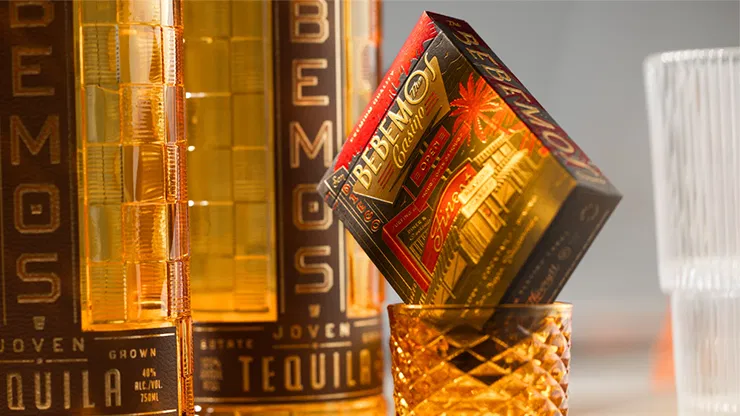 Bebemos Casino Playing Cards - image 6