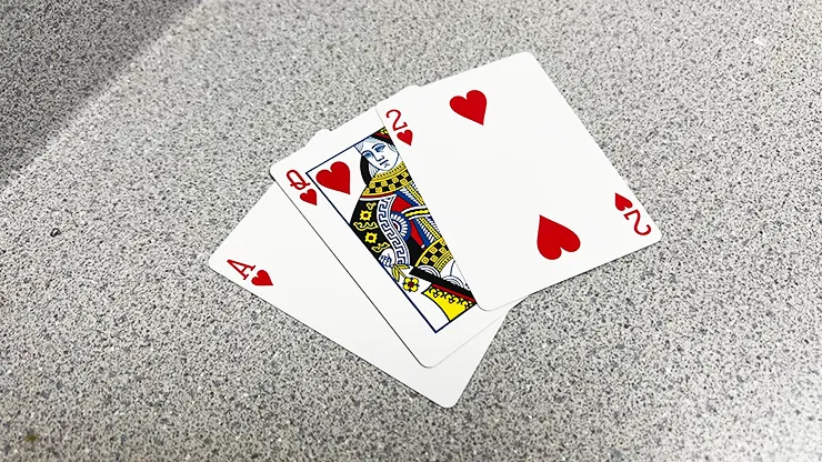 Bicycle 2 Faced Playing Cards - image 7