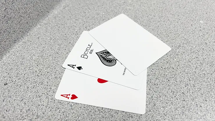 Bicycle 2 Faced Playing Cards - image 3