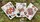 Bicycle Ant Playing Cards - image 6
