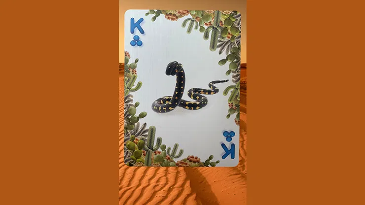Bicycle Balloon Desert Playing Cards - image 2