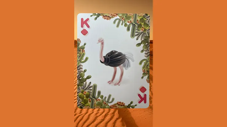 Bicycle Balloon Desert Playing Cards - image 3