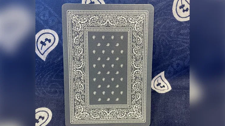 Bicycle Bandana Stripper Deck Playing Cards - image 4