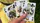 Bicycle Beekeeper Playing Cards - image 5