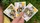 Bicycle Beekeeper Playing Cards - image 6