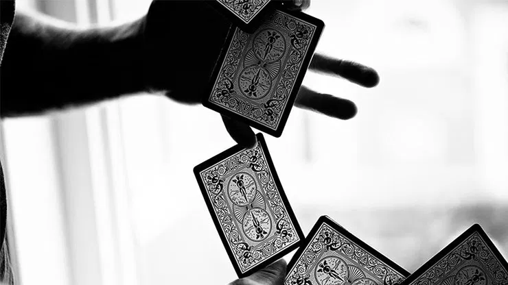 Bicycle Black Tiger Red Playing Cards - image 4