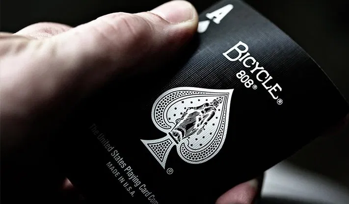 Bicycle Black Tiger Red Playing Cards - image 5