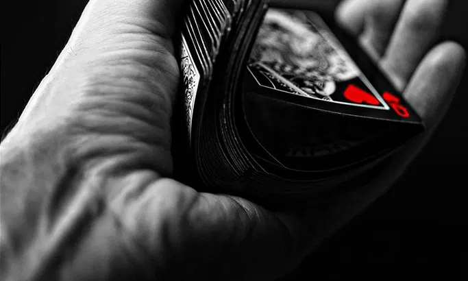 Bicycle Black Tiger Red Playing Cards - image 6