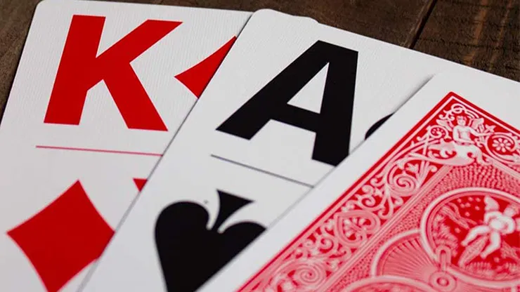 Bicycle Bridge Playing Cards (Large Print) - image 3