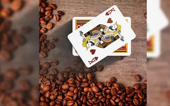 Bicycle Colombia Playing Cards - image 3