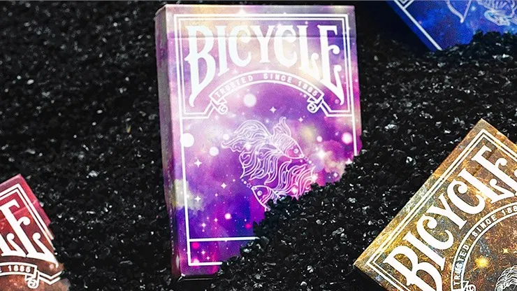 Bicycle Constellation Series  - Pisces - image 1