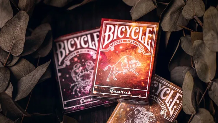 Bicycle Constellation Series - Taurus - image 1