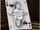Bicycle Divide of a Nation Playing Cards - image 5