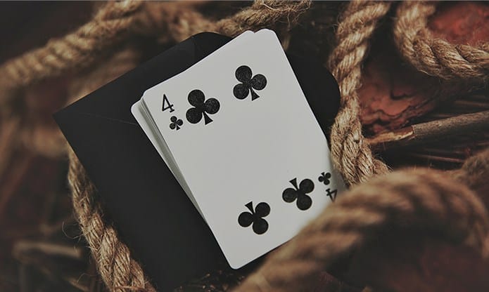 Bicycle Dragonlord White Edition Playing Cards - thumbnail 6