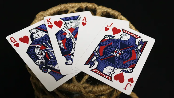 Bicycle Euchre Playing Cards - image 4