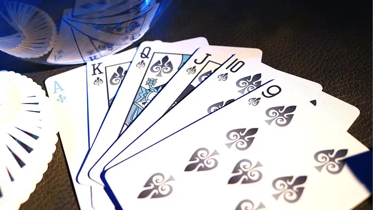 Bicycle Four Seasons Limited Edition Winter Playing Cards - image 5