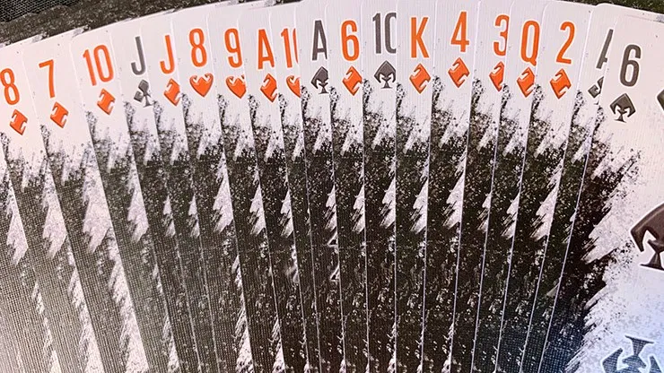 Bicycle Gilded Rock & Roll Playing Cards - image 3