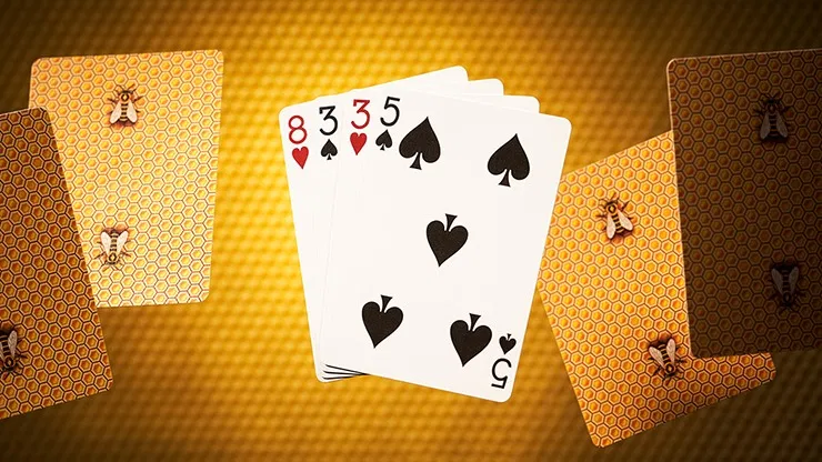 Bicycle Honeybee V3 Playing Cards - image 10