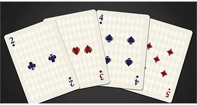 Bicycle Illusionist Deck Limited Edition (Dark) - image 6