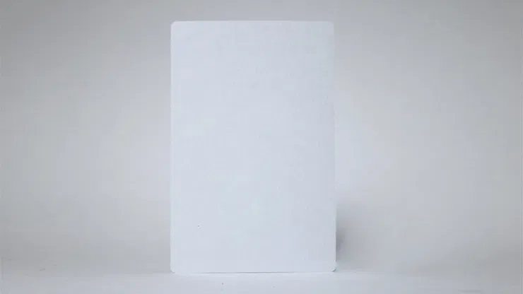 Bicycle Jumbo Blank Face Card - image 1