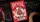 Bicycle Koi Playing Cards - image 1