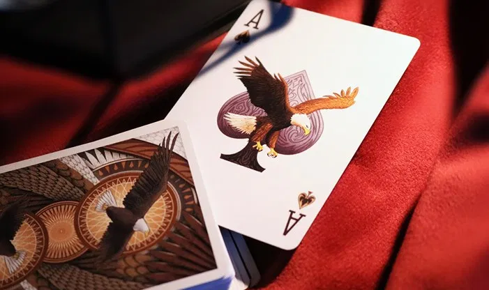 Limited Edition Bicycle Bald Eagle Playing Cards - image 3