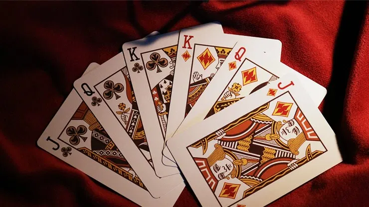 Limited Edition Bicycle Bald Eagle Playing Cards - image 4