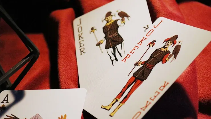 Limited Edition Bicycle Bald Eagle Playing Cards - image 5